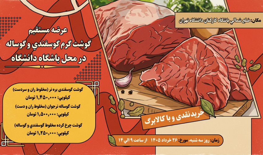عرضه مستقیم گوشت گرم گوسفندی و گوساله